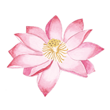Environment (1).png
